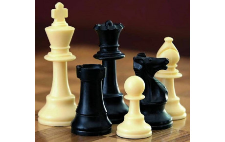 Club d'échecs Cergy Philidor